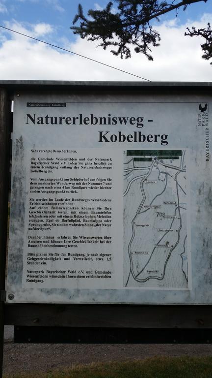 Waldgasthof - Hotel Schiederhof Wiesenfelden Esterno foto