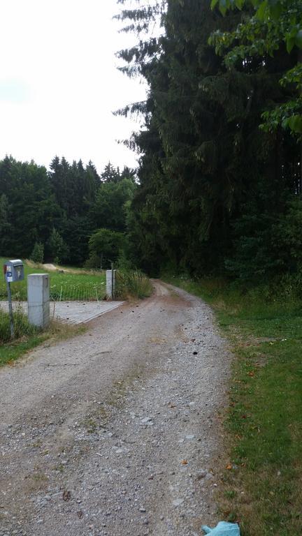Waldgasthof - Hotel Schiederhof Wiesenfelden Esterno foto